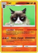 CAT 20000000000