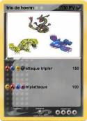 trio de hoenn
