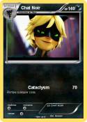 Chat Noir