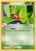 Ladybird