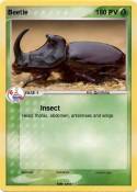 Beetle
