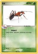 Ant