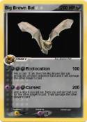 Big Brown Bat