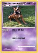 pit-bull-doberm