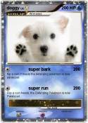 doggy