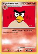 angrid burds
