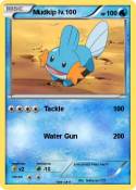 Mudkip lv.100