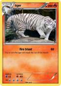 tiger