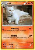 cat