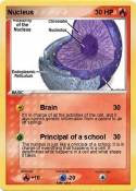 Nucleus
