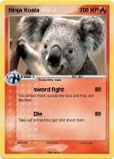 Ninja Koala