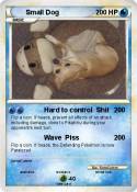 Small Dog