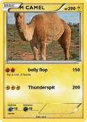M CAMEL