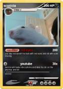 scucicia