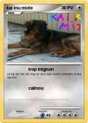 kai inu mixte