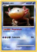 Axolotl