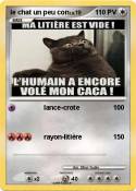 le chat un peu