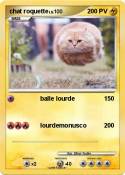 chat roquette