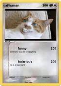 cat/human