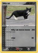 kitty cat