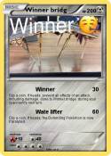 Winner bridg