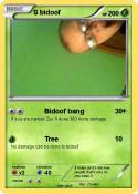 S bidoof