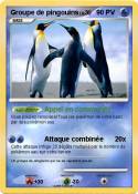 Groupe de