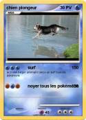 chien plongeur