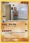 CEO Sam