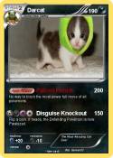 Darcat