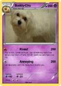 Buddy-Chu