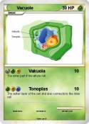 Vacuole