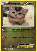 chatonnion