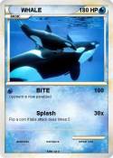 WHALE