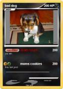 bad dog