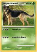 berger allemand
