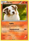 fun dog