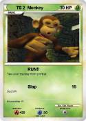 TS 2 Monkey