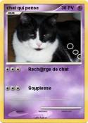 chat qui pense