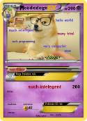 codedoge