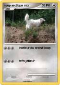 loup arctique