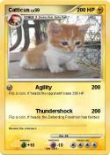 Catticus