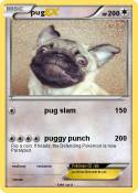 pug