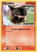 chat canibale