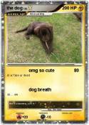 the dog