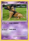tosa inu