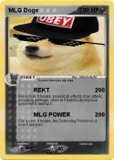 MLG Doge