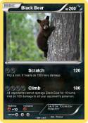 Black Bear