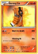 Burning Cat