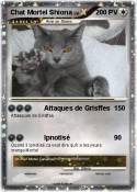 Chat Mortel Shi
